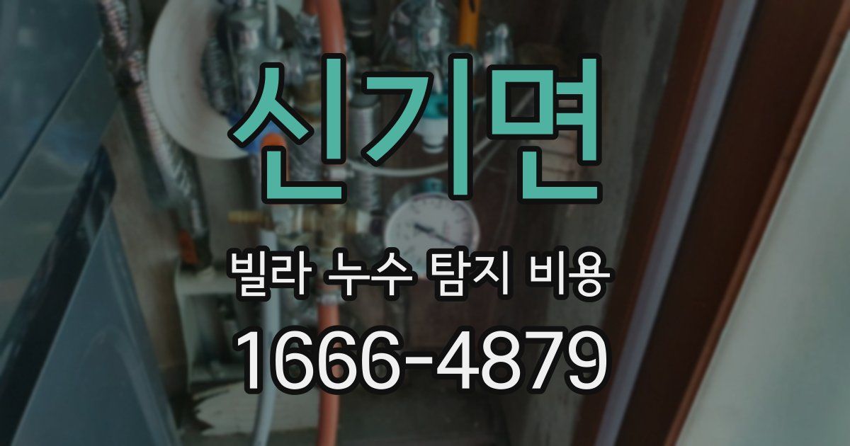 신기면 빌라 누수 탐지 비용