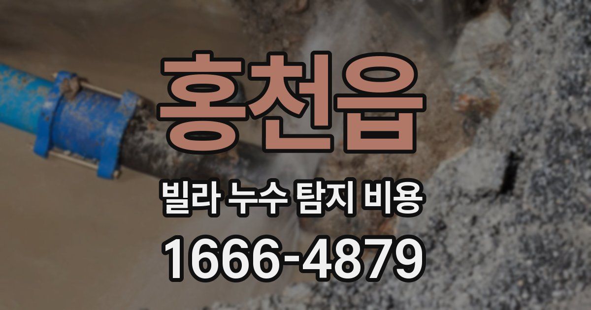 홍천읍 빌라 누수 탐지 비용