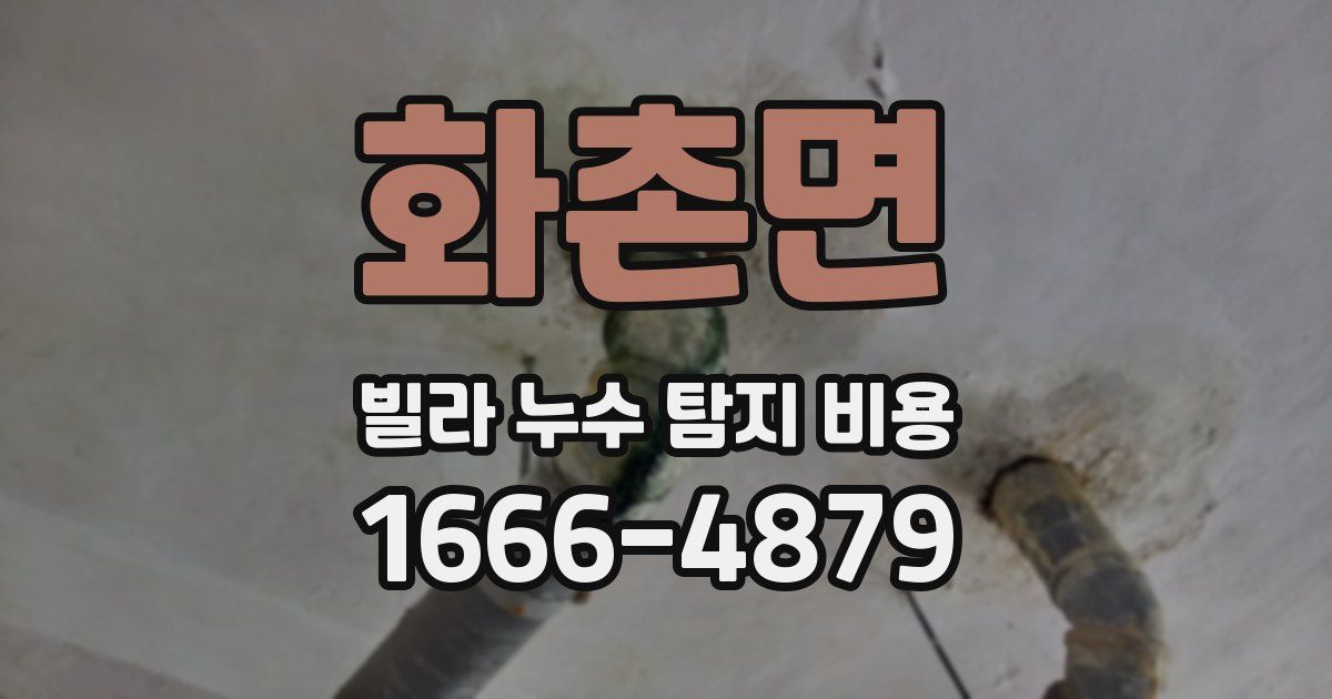 화촌면 빌라 누수 탐지 비용