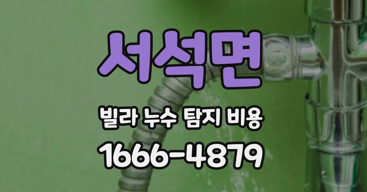 서석면 빌라 누수 탐지 비용