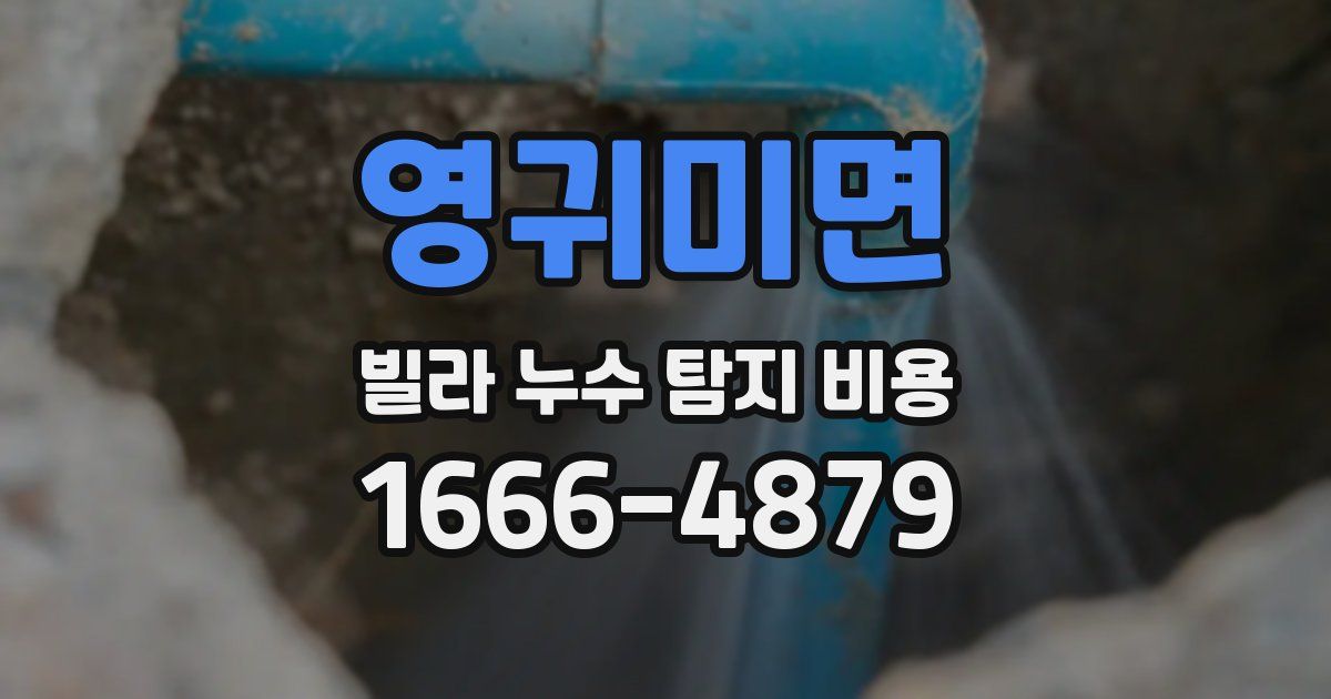 영귀미면 빌라 누수 탐지 비용