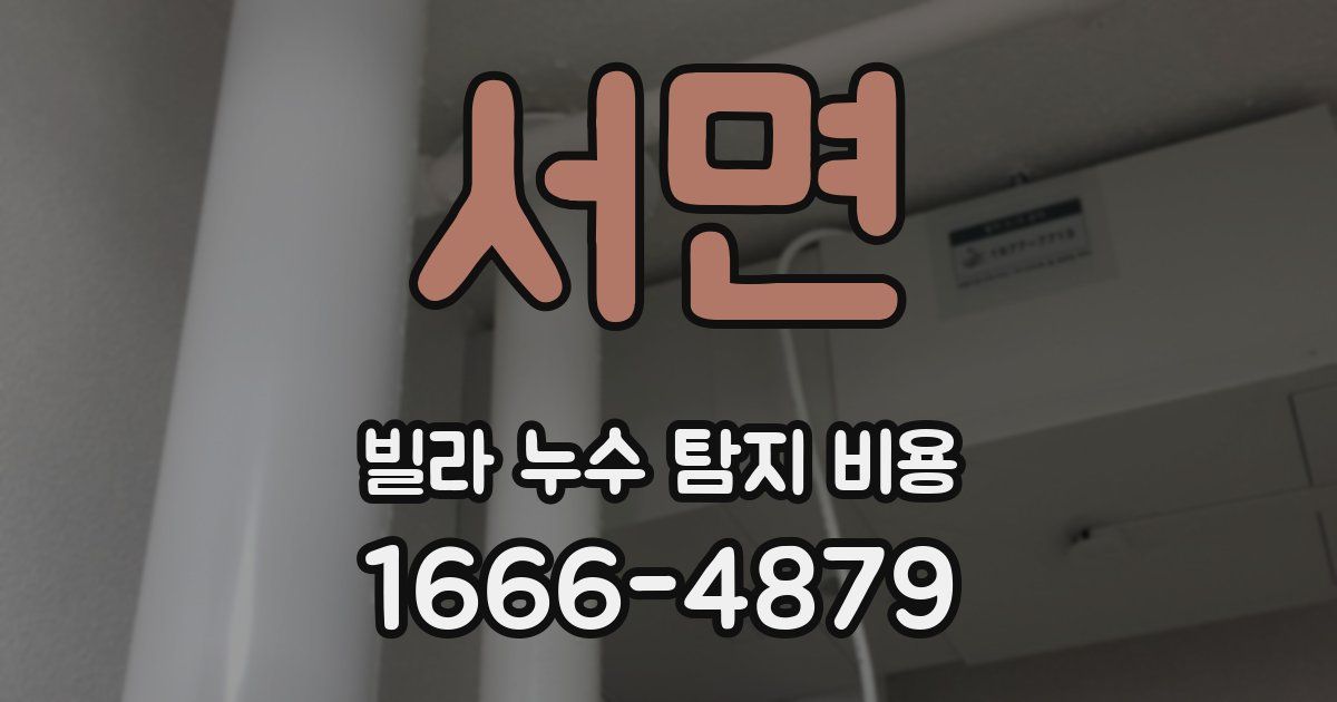 서면 빌라 누수 탐지 비용