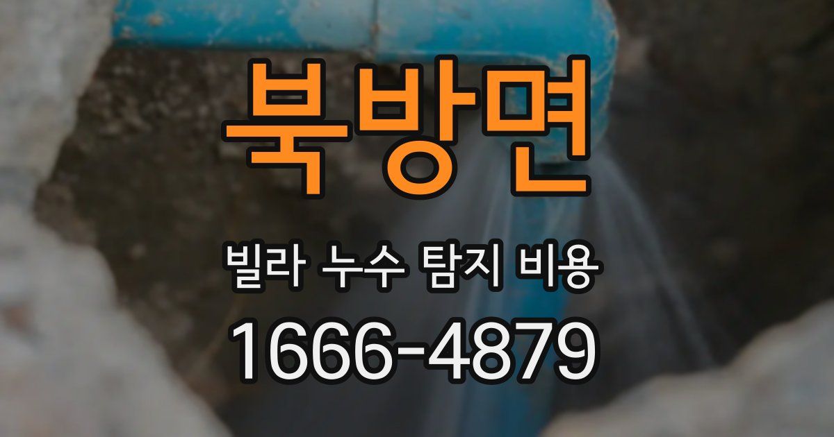 북방면 빌라 누수 탐지 비용