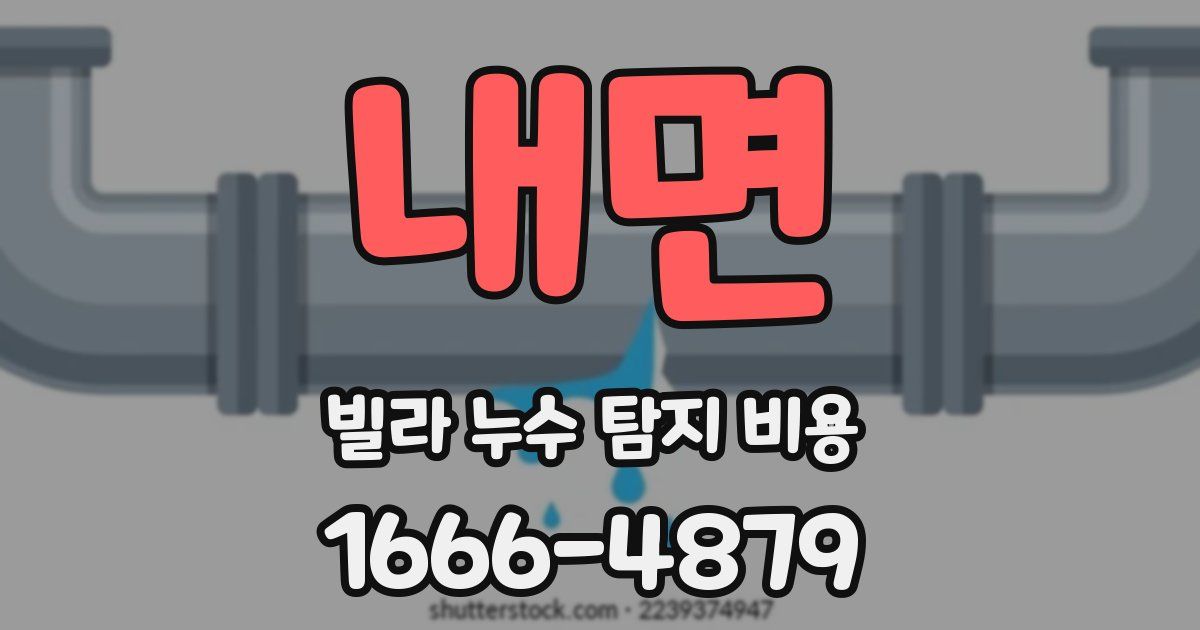 내면 빌라 누수 탐지 비용