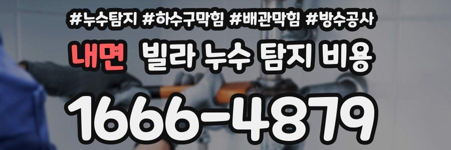 내면 빌라 누수 탐지 비용