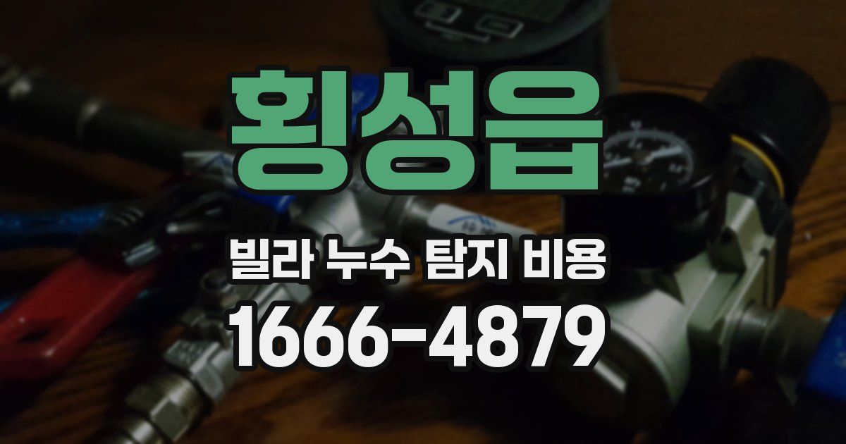횡성읍 빌라 누수 탐지 비용