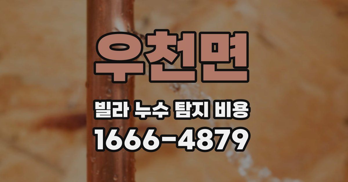 우천면 빌라 누수 탐지 비용