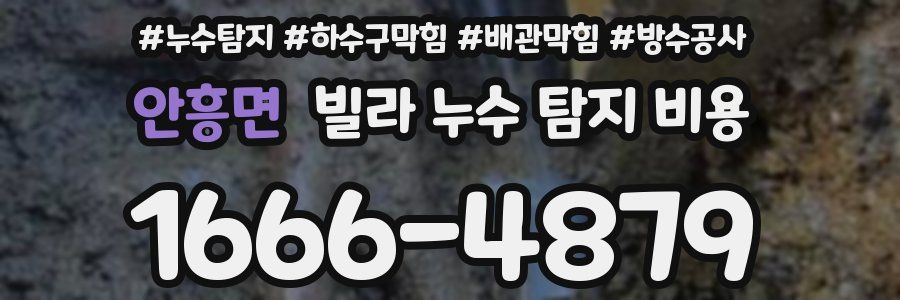 안흥면 빌라 누수 탐지 비용