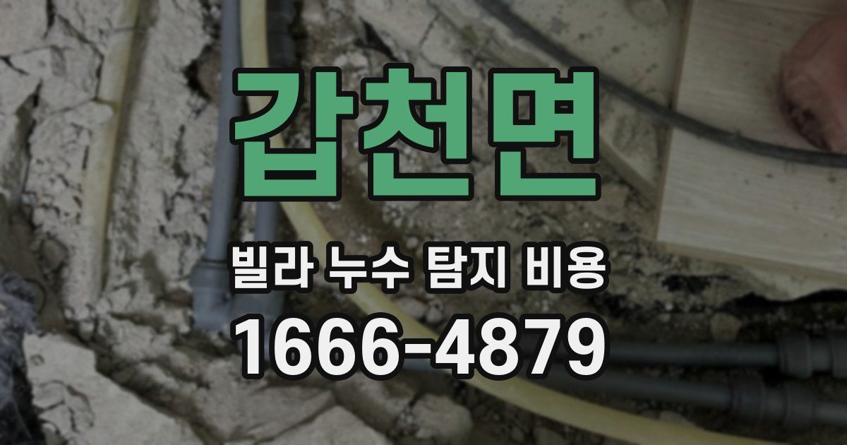 갑천면 빌라 누수 탐지 비용
