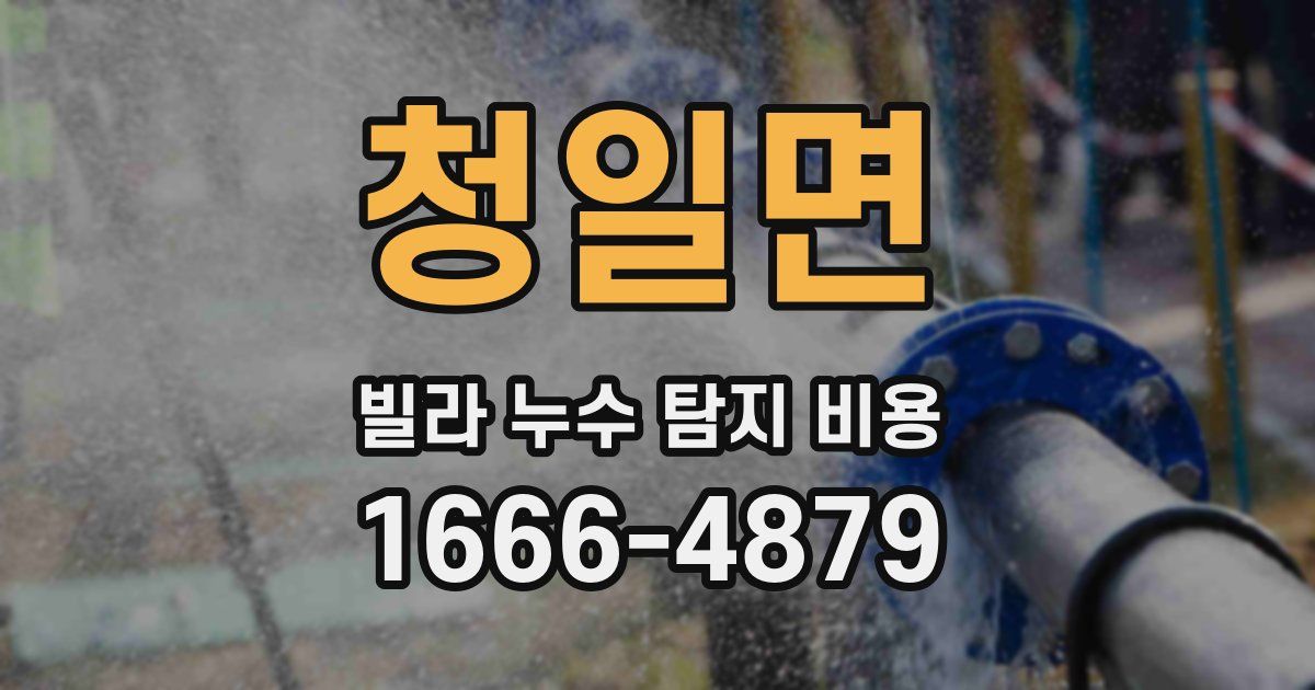 청일면 빌라 누수 탐지 비용