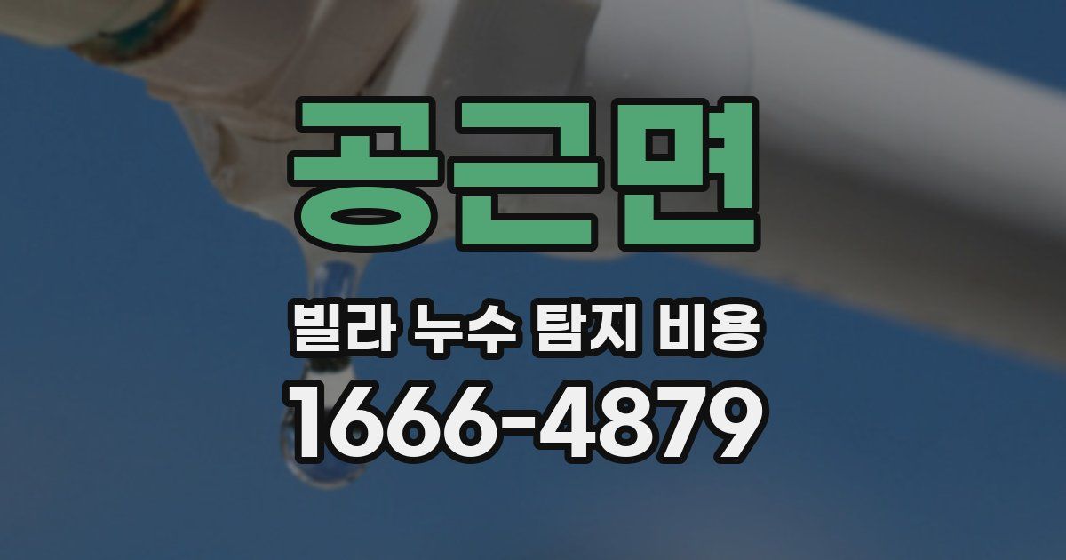 공근면 빌라 누수 탐지 비용