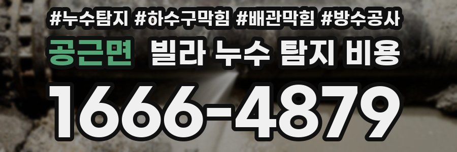 공근면 빌라 누수 탐지 비용