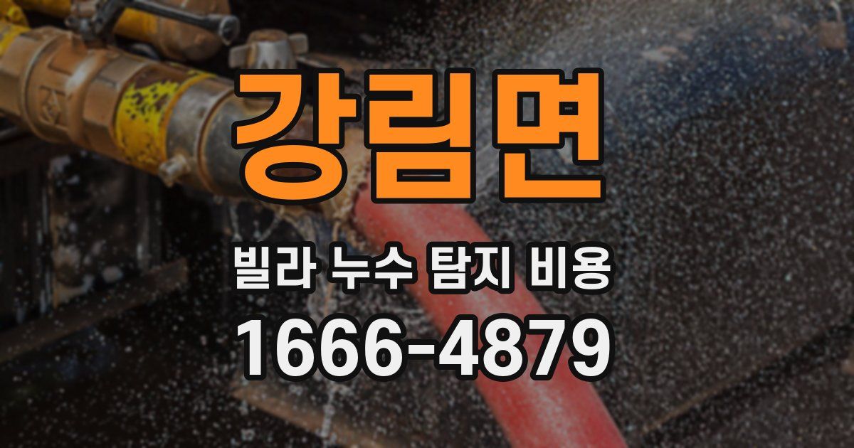 강림면 빌라 누수 탐지 비용