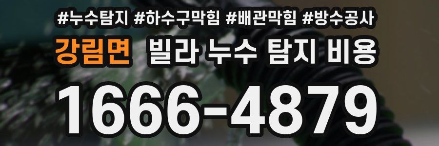 강림면 빌라 누수 탐지 비용
