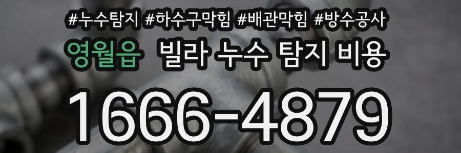 영월읍 빌라 누수 탐지 비용