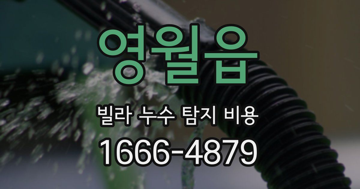 영월읍 빌라 누수 탐지 비용
