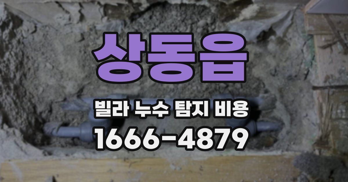 상동읍 빌라 누수 탐지 비용