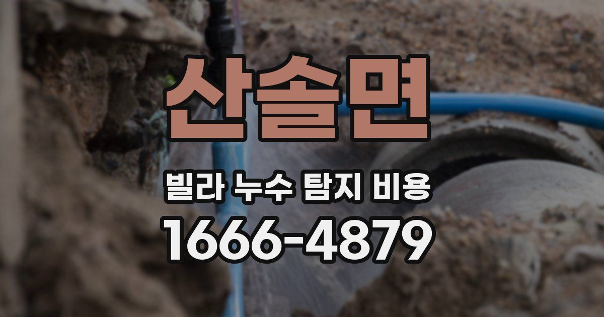 산솔면 빌라 누수 탐지 비용