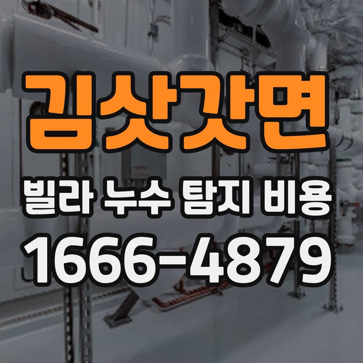 김삿갓면 빌라 누수 탐지 비용