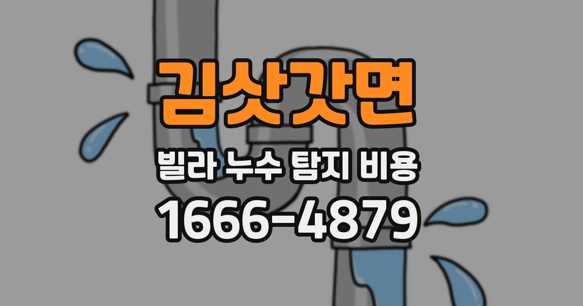 김삿갓면 빌라 누수 탐지 비용