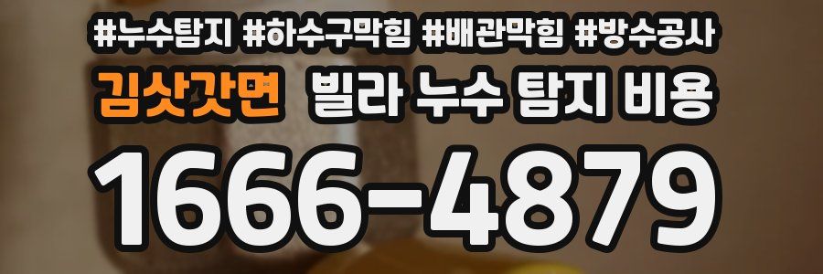 김삿갓면 빌라 누수 탐지 비용