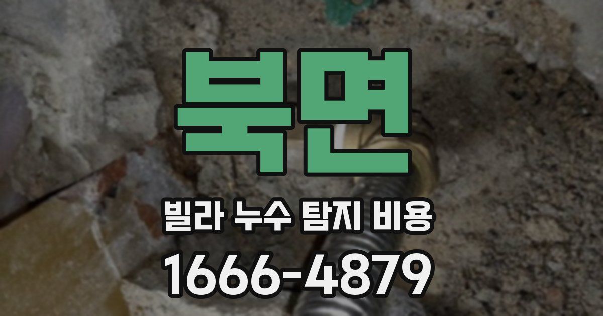 북면 빌라 누수 탐지 비용