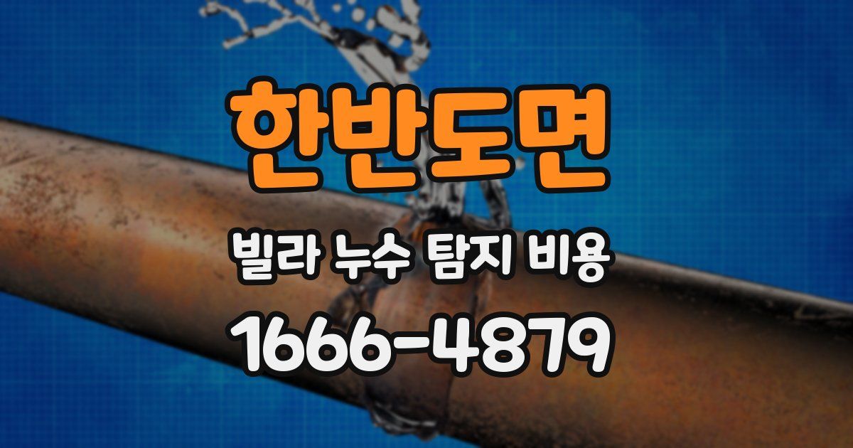 한반도면 빌라 누수 탐지 비용