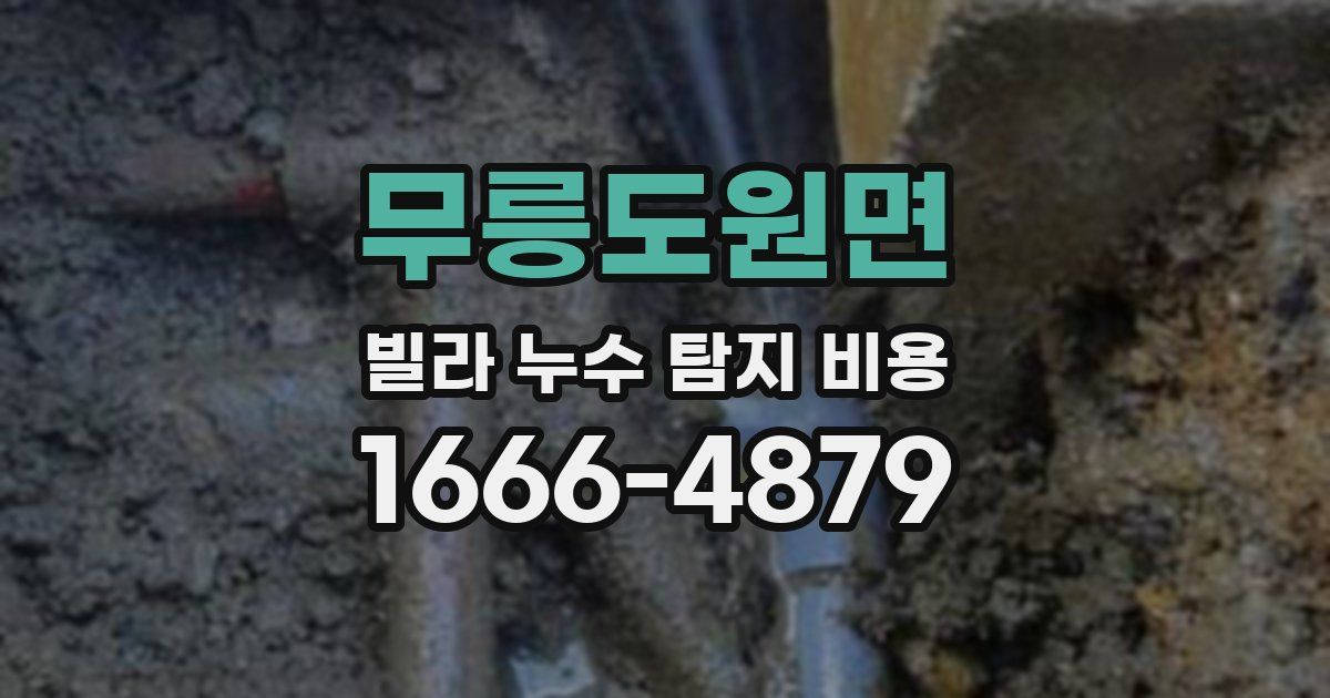 무릉도원면 빌라 누수 탐지 비용