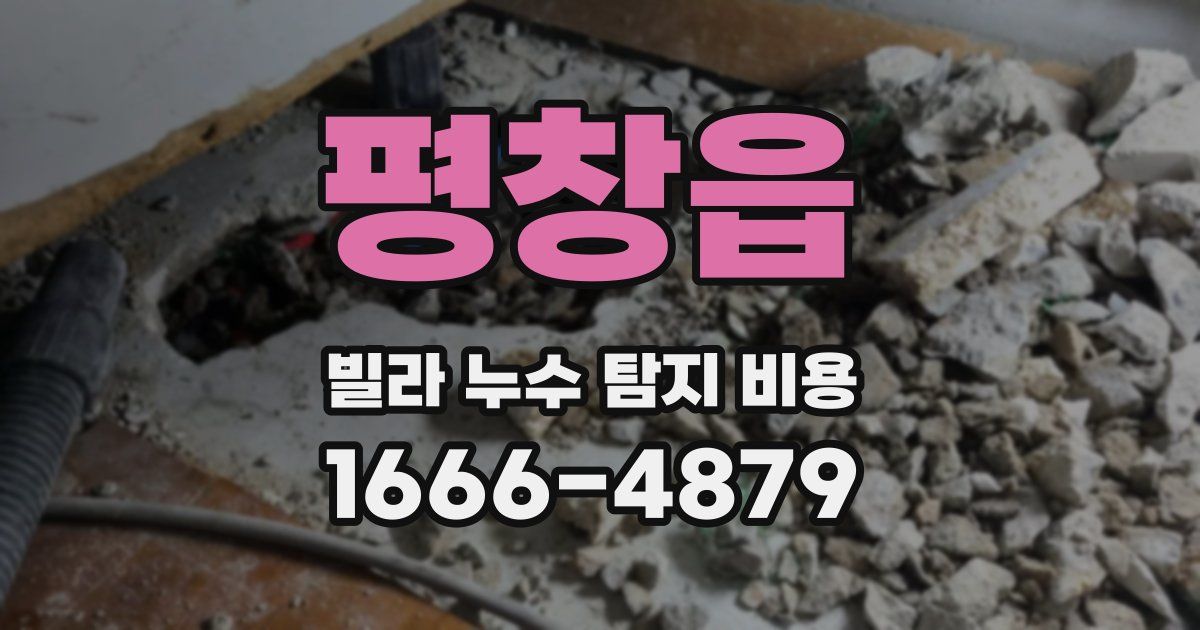평창읍 빌라 누수 탐지 비용