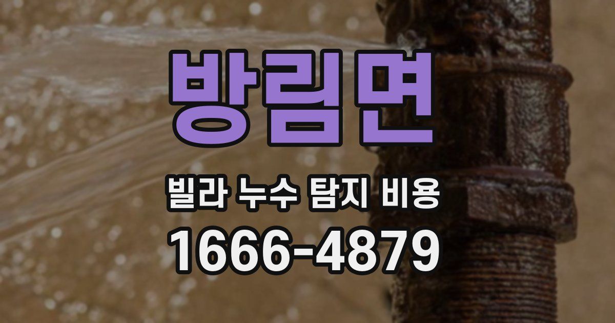방림면 빌라 누수 탐지 비용