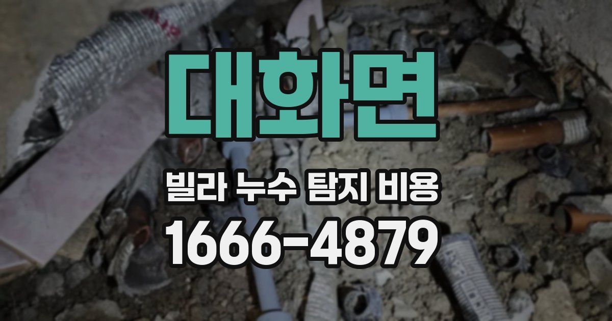 대화면 빌라 누수 탐지 비용