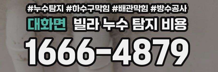 대화면 빌라 누수 탐지 비용