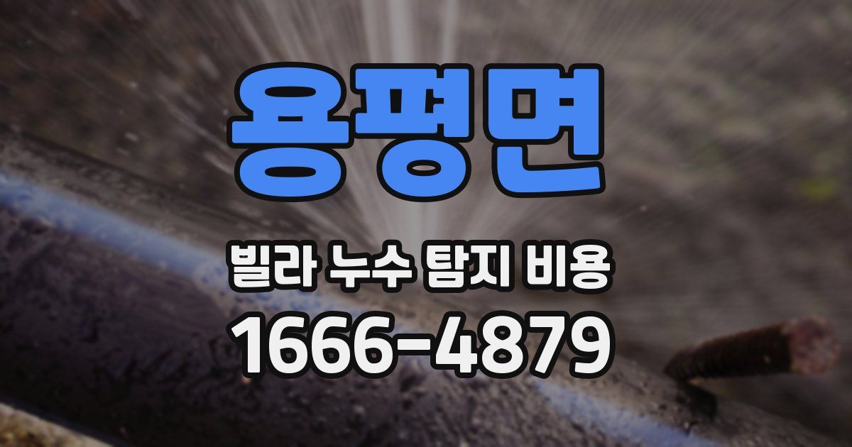용평면 빌라 누수 탐지 비용