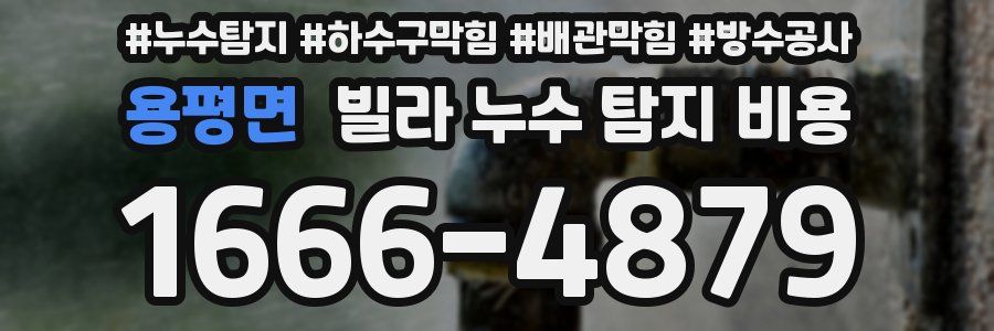 용평면 빌라 누수 탐지 비용