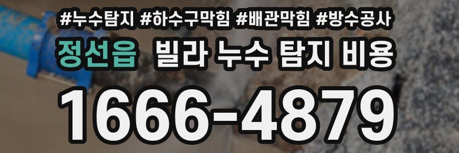 정선읍 빌라 누수 탐지 비용
