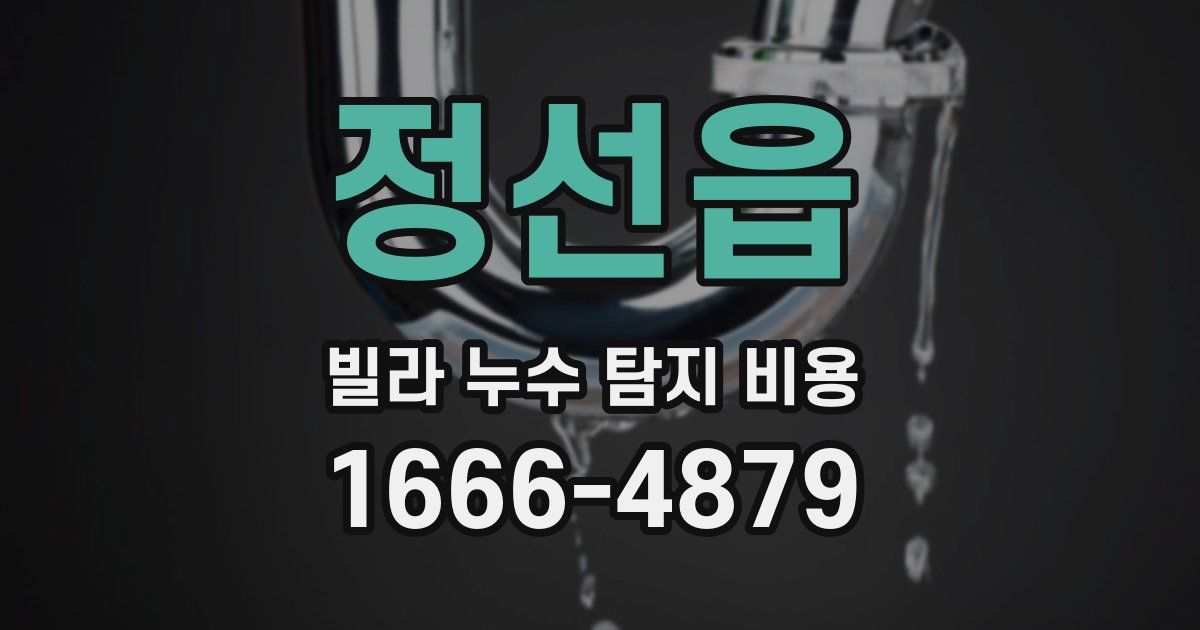 정선읍 빌라 누수 탐지 비용