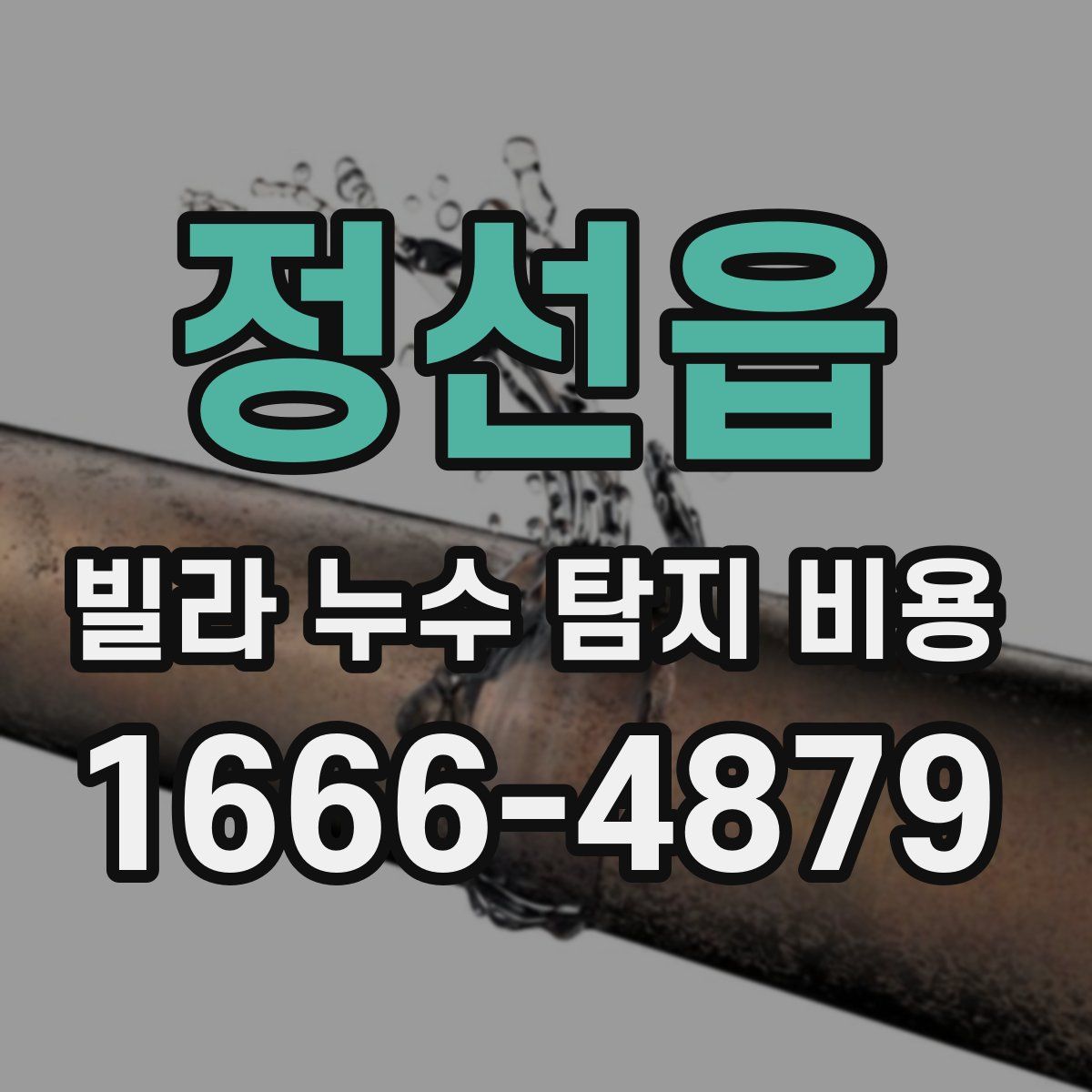 정선읍 빌라 누수 탐지 비용