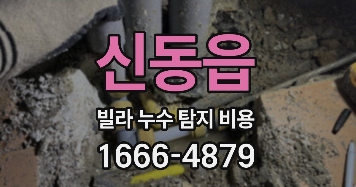 신동읍 빌라 누수 탐지 비용