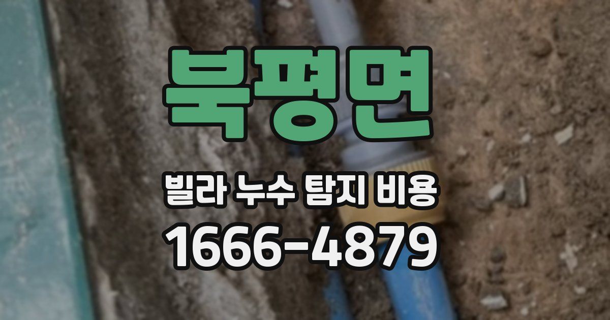 북평면 빌라 누수 탐지 비용