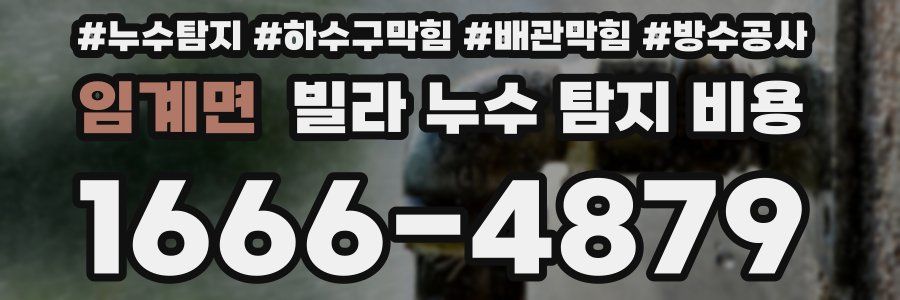 임계면 빌라 누수 탐지 비용