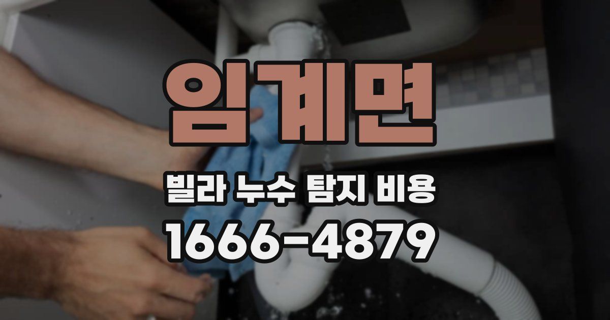 임계면 빌라 누수 탐지 비용