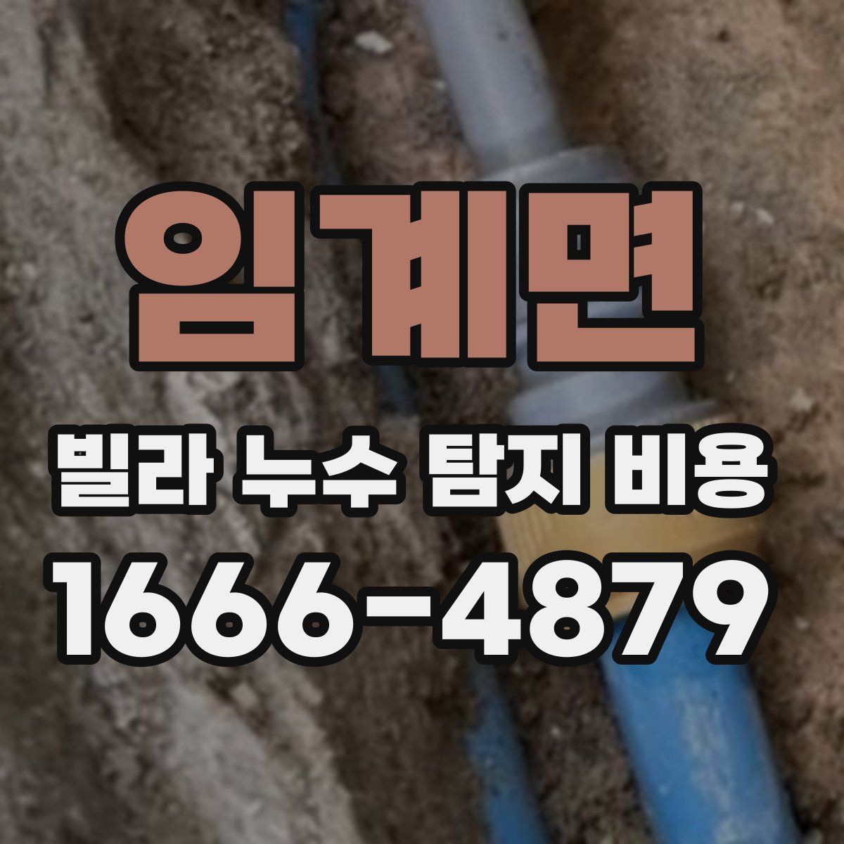 임계면 빌라 누수 탐지 비용