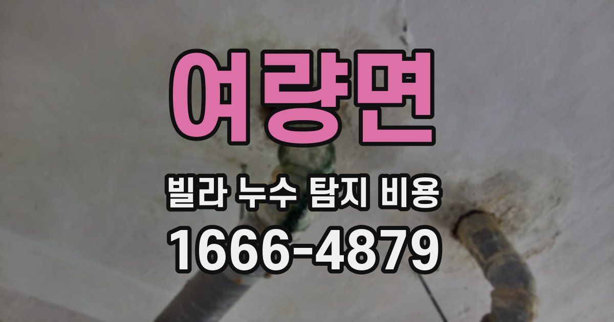 여량면 빌라 누수 탐지 비용