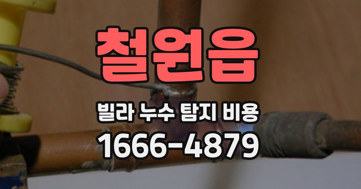 철원읍 빌라 누수 탐지 비용