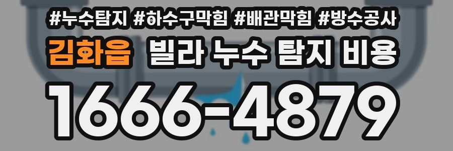 김화읍 빌라 누수 탐지 비용