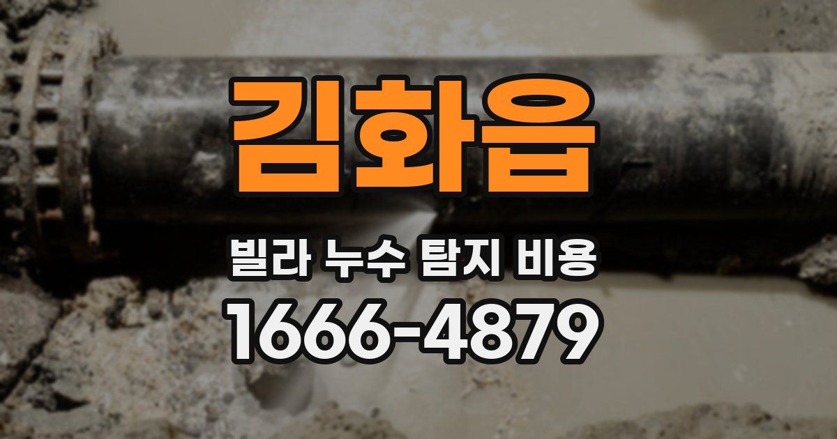 김화읍 빌라 누수 탐지 비용