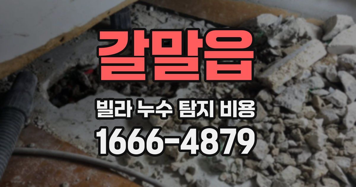 갈말읍 빌라 누수 탐지 비용