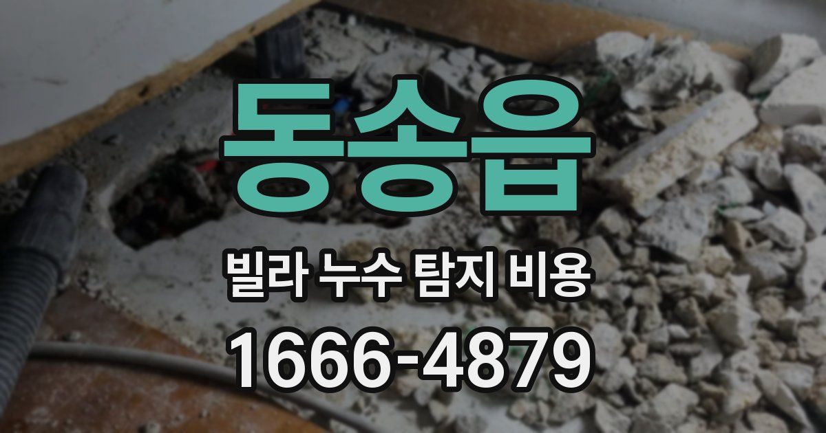 동송읍 빌라 누수 탐지 비용