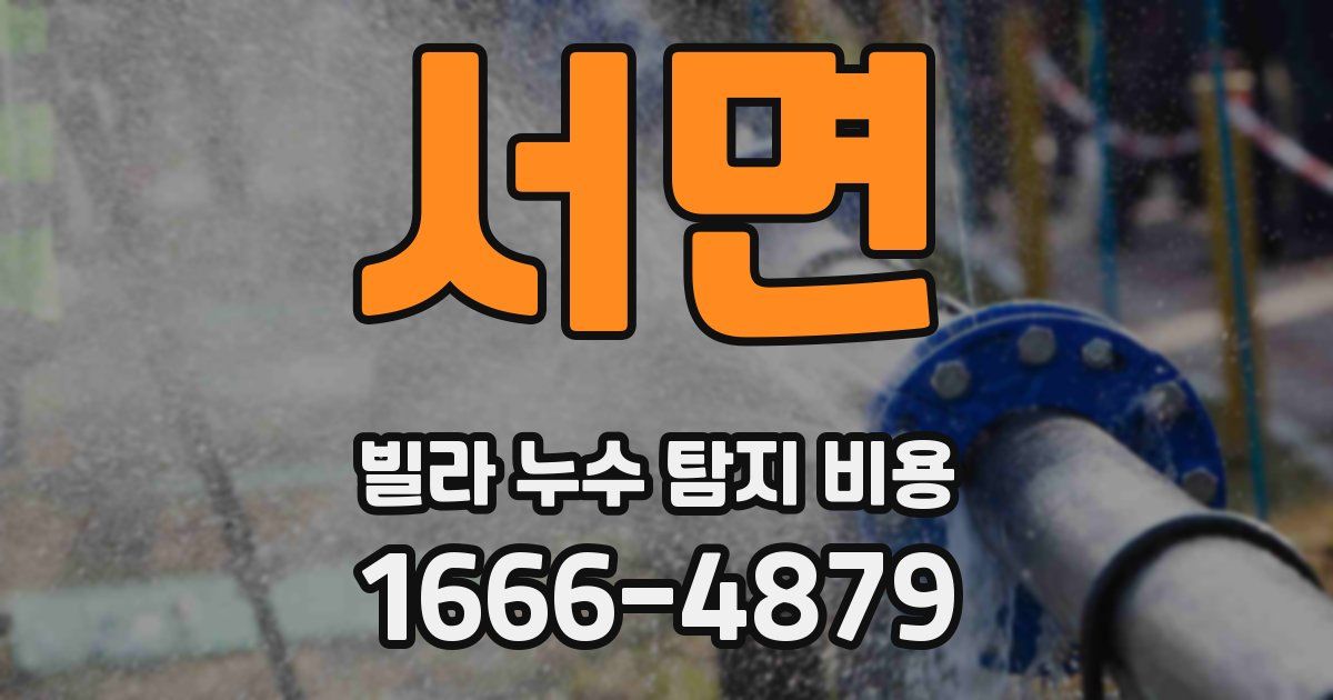 서면 빌라 누수 탐지 비용