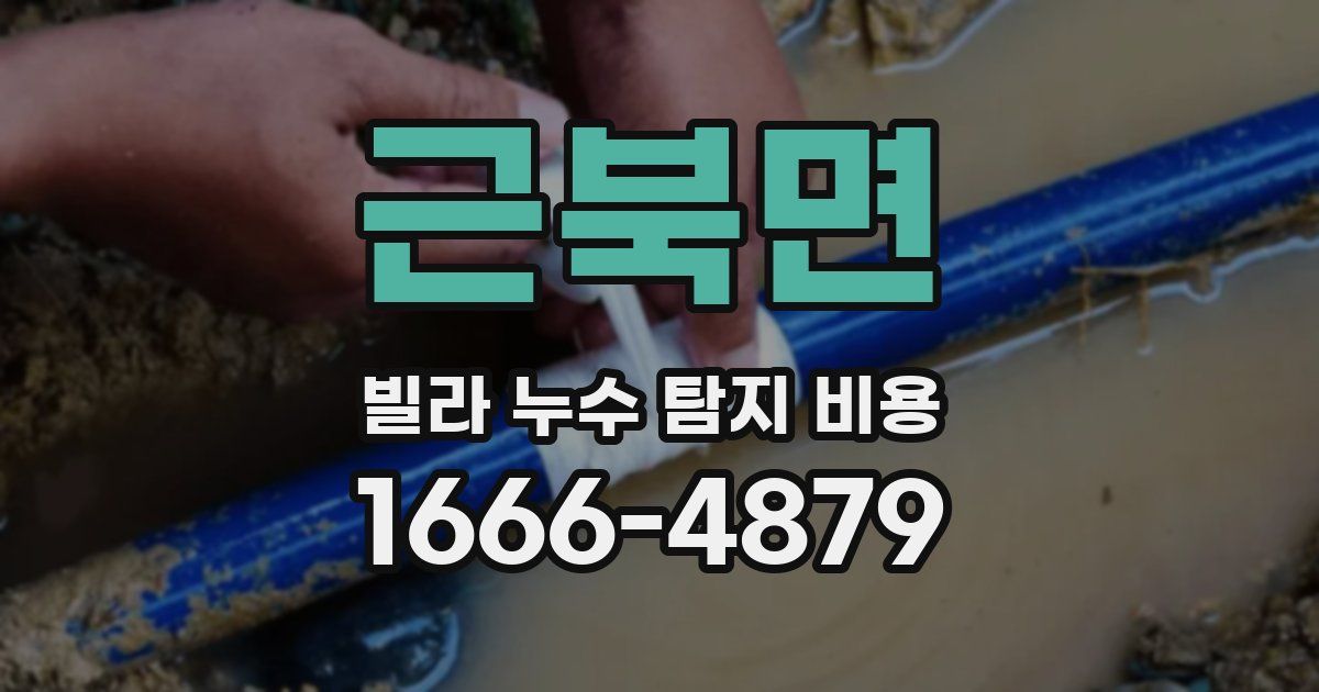 근북면 빌라 누수 탐지 비용